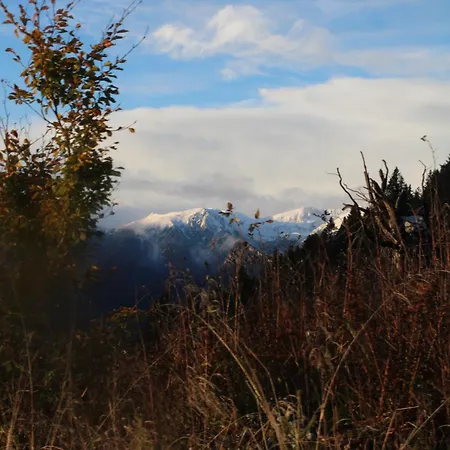 I profumi del bosco-3
